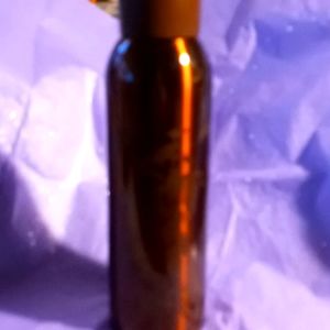 Starbucks Dark Brown Insulated bottle